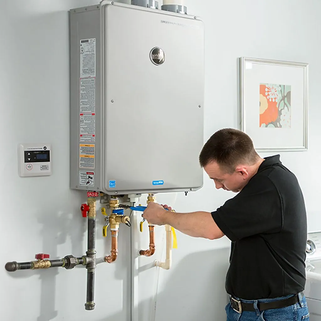 tankless water heater repair in Denali national park, AK